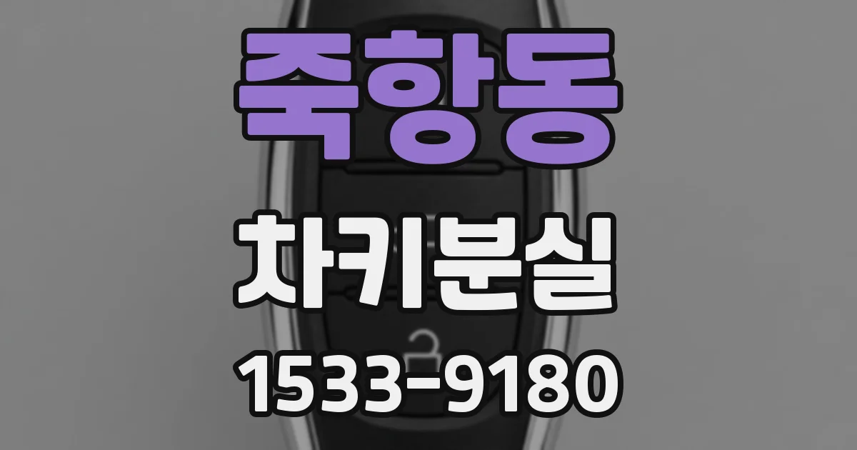 죽항동 차키분실