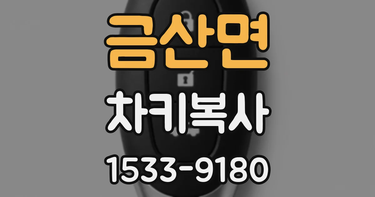 금산면 차키복사