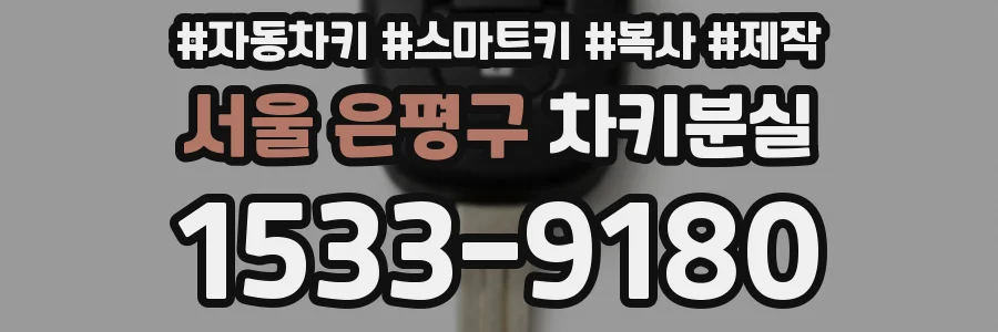 서울 은평구 차키분실
