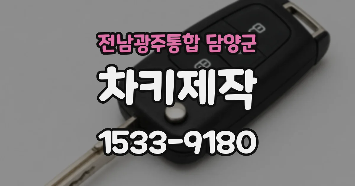 전남광주통합 담양군 차키제작