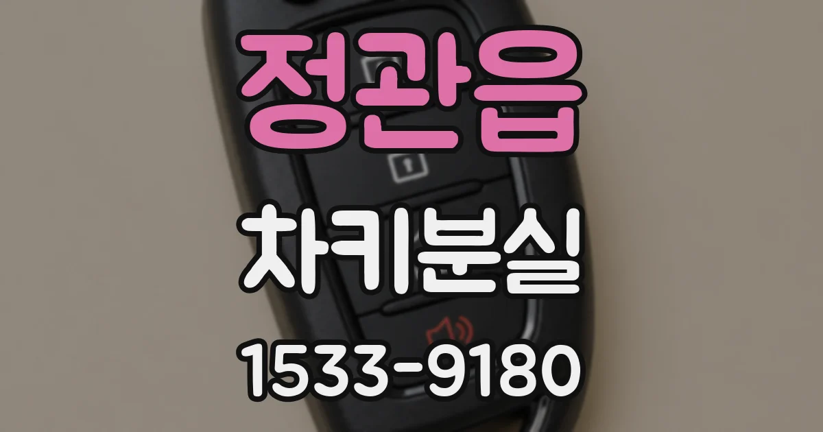 정관읍 차키분실