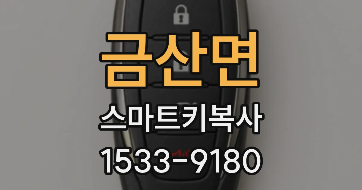 금산면 스마트키복사