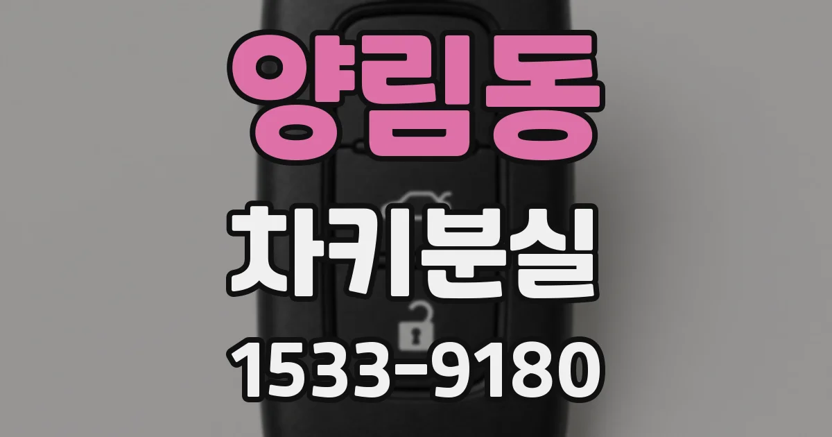 양림동 차키분실