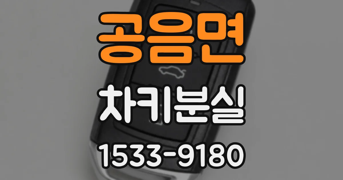 공음면 차키분실