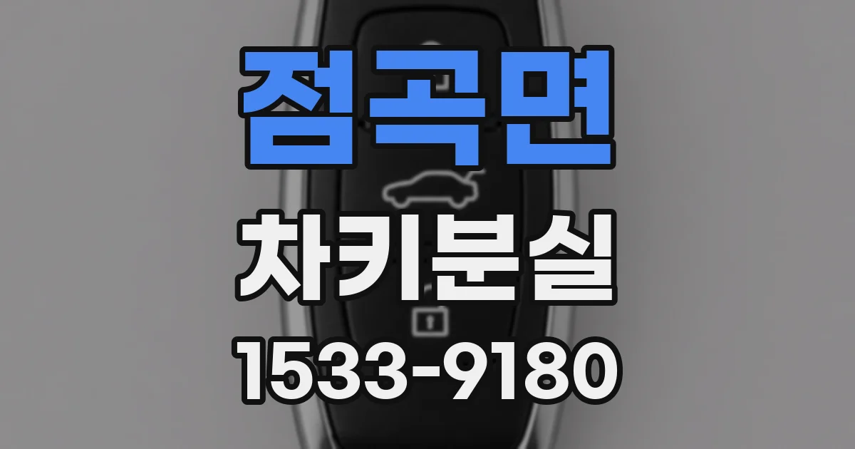 점곡면 차키분실