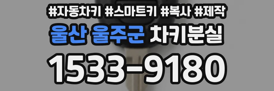 울산 울주군 차키분실