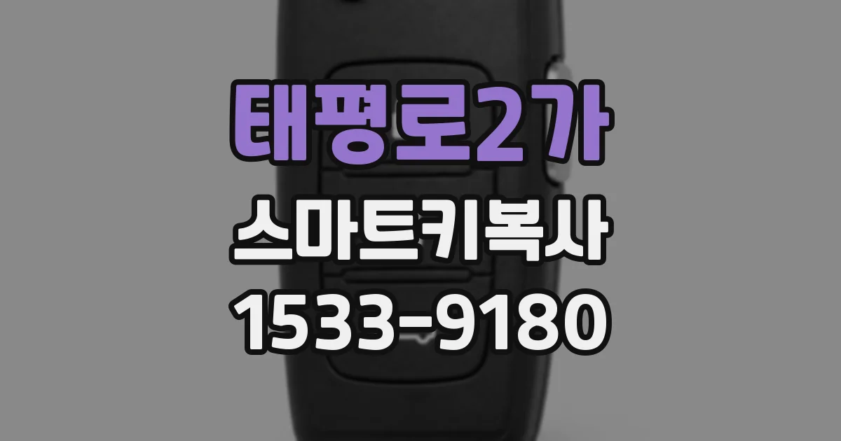 태평로2가 스마트키복사