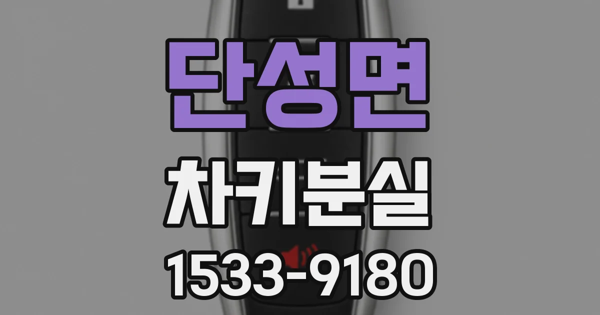 단성면 차키분실