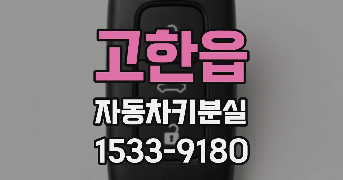 고한읍 자동차키분실