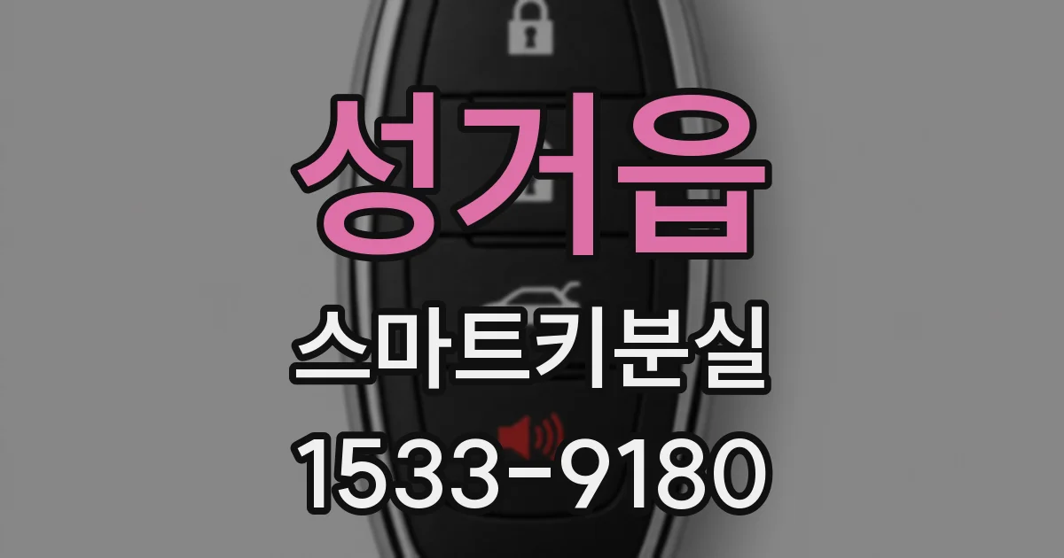 성거읍 스마트키분실