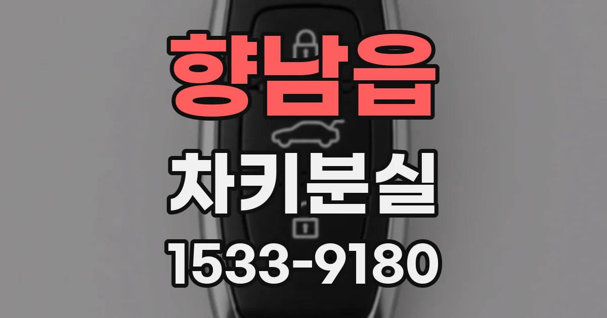 향남읍 차키분실