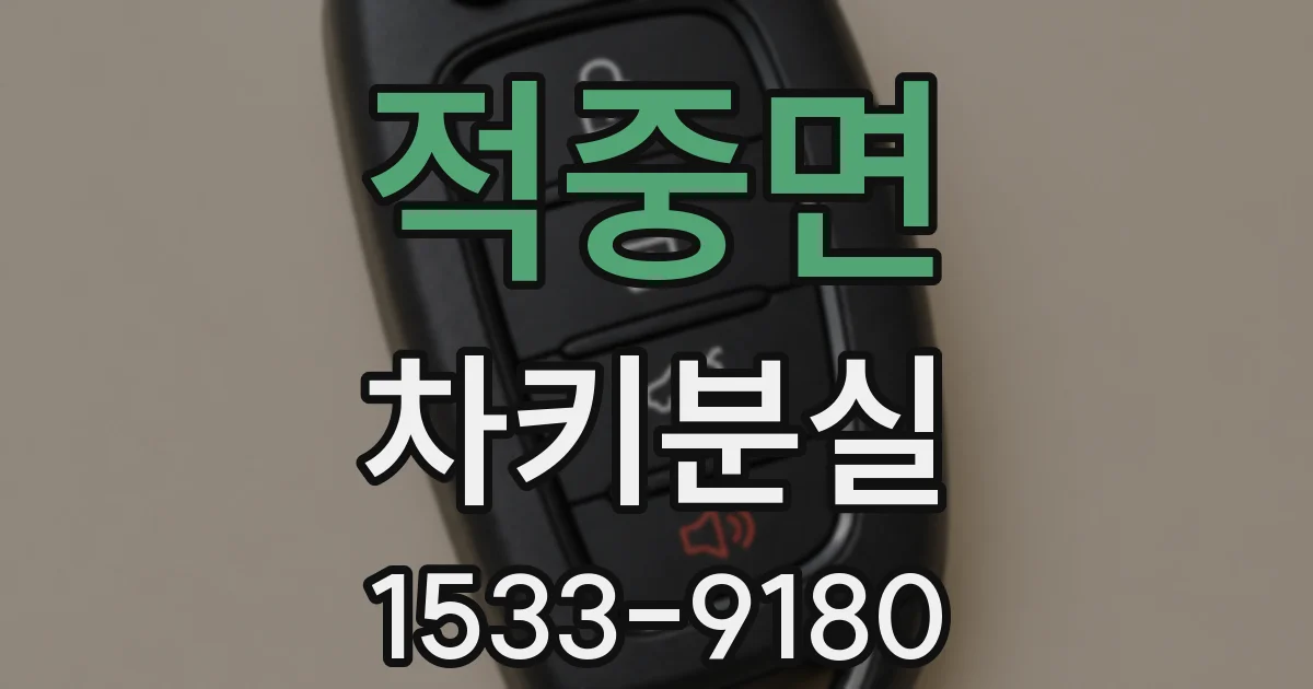 적중면 차키분실