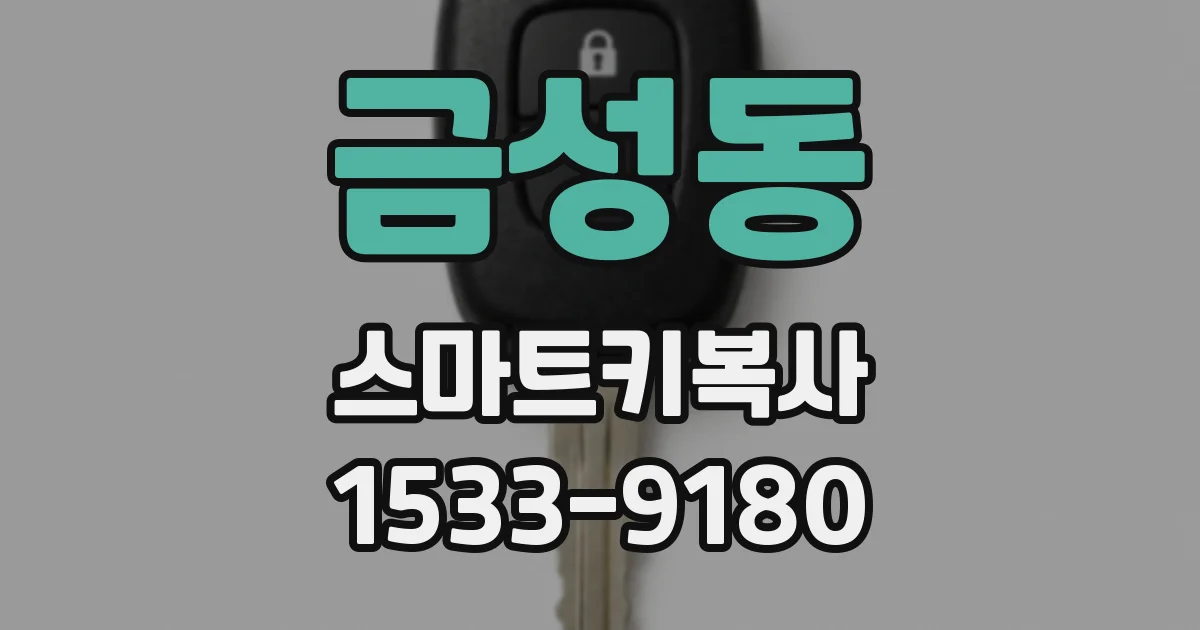 금성동 스마트키복사