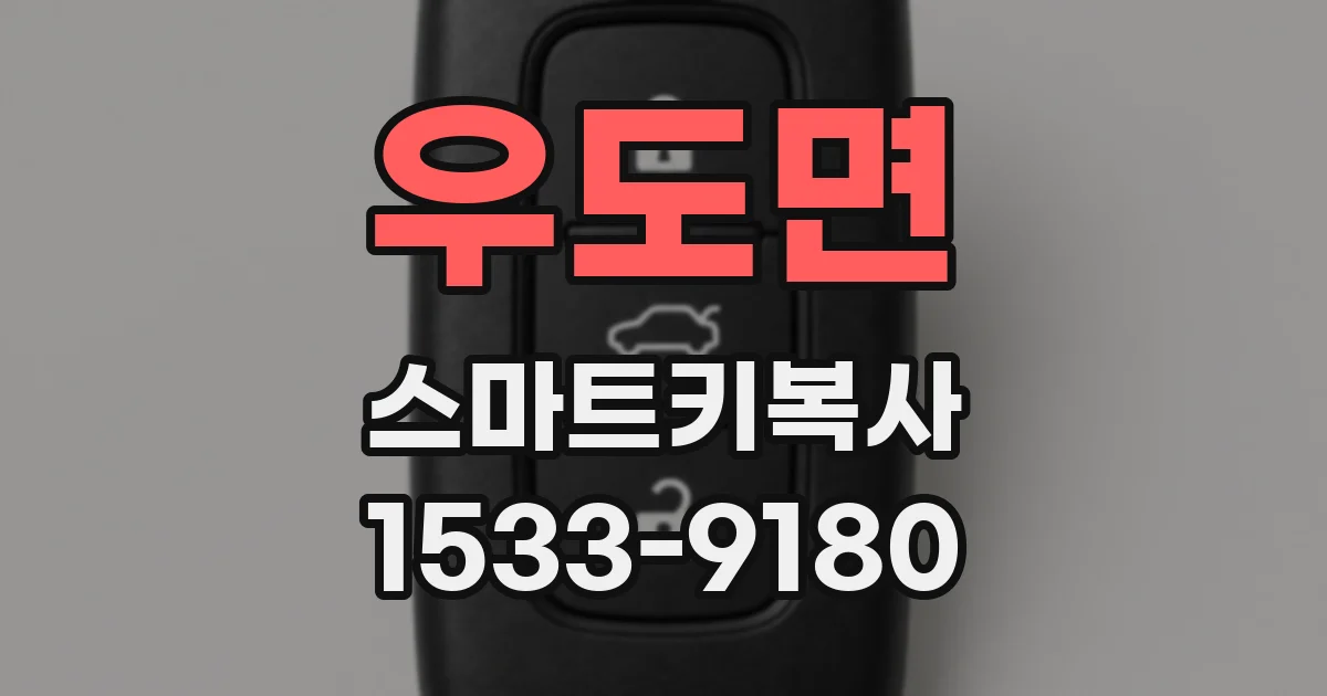 우도면 스마트키복사