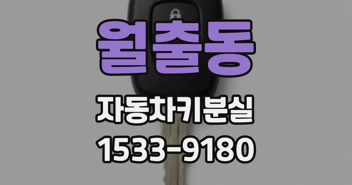 월출동 자동차키분실