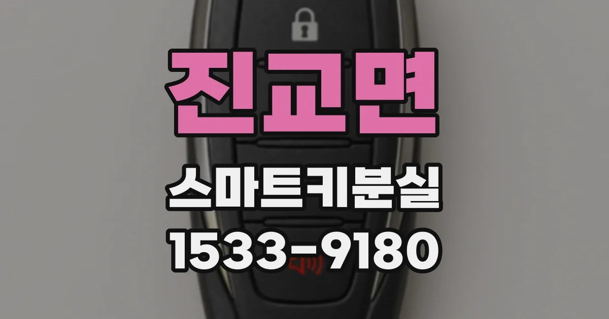 진교면 스마트키분실