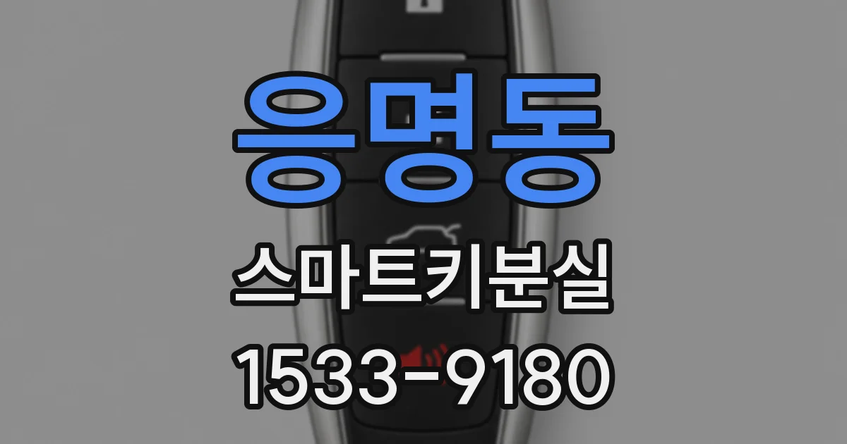 응명동 스마트키분실