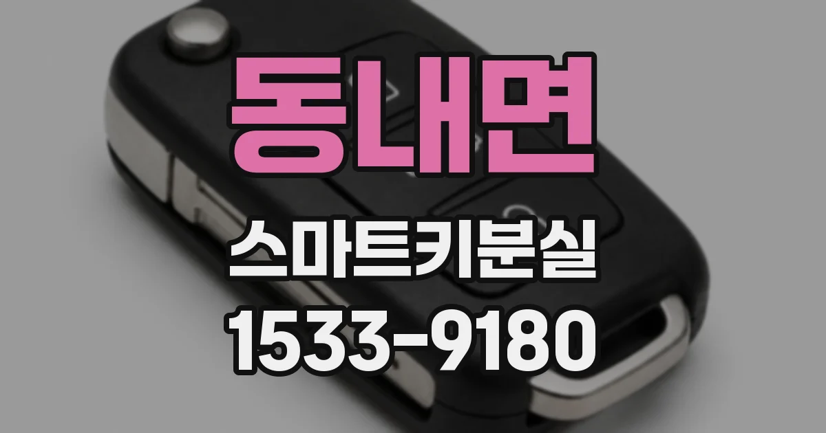 동내면 스마트키분실