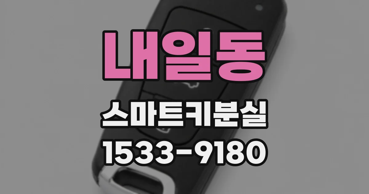 내일동 스마트키분실