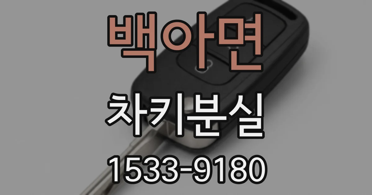 백아면 차키분실