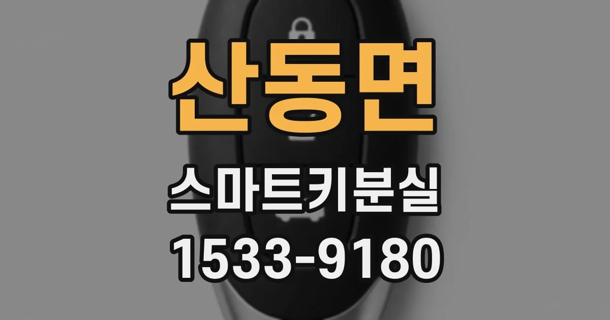 산동면 스마트키분실