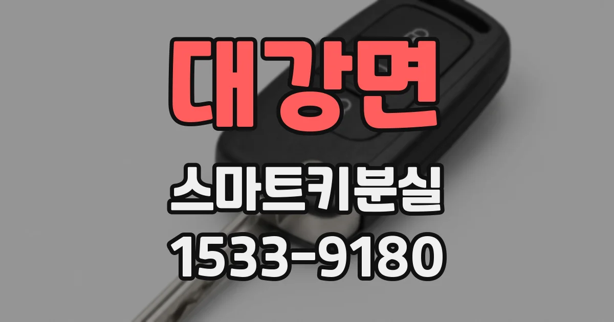 대강면 스마트키분실