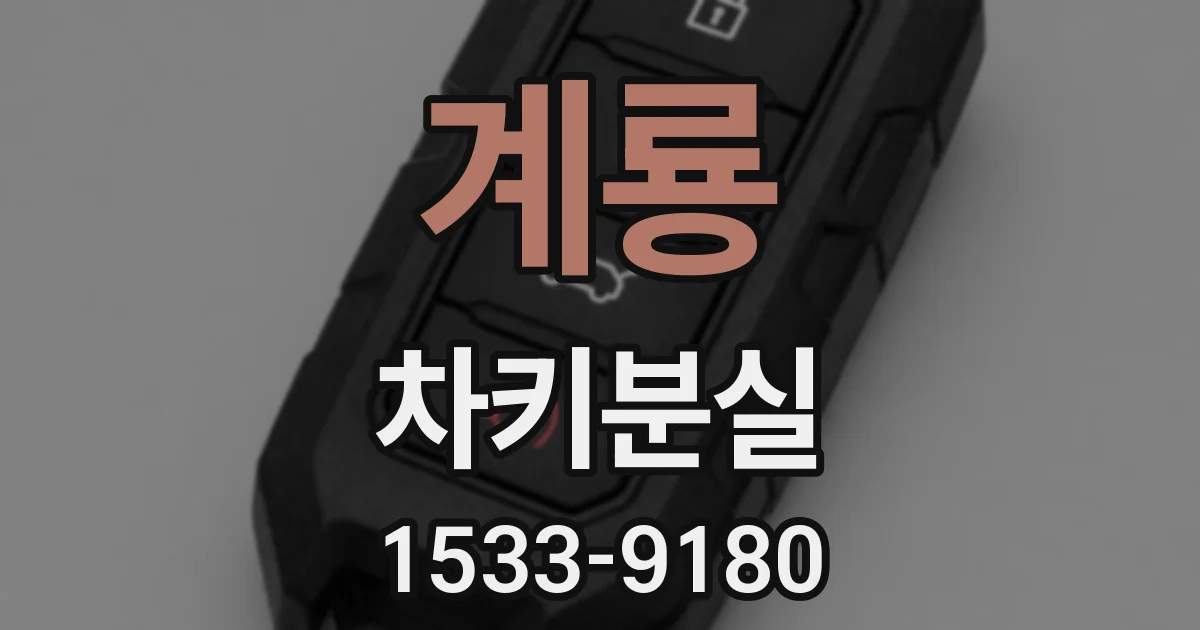 계룡 차키분실