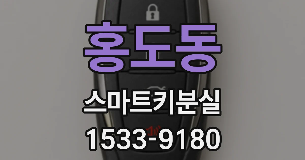 홍도동 스마트키분실
