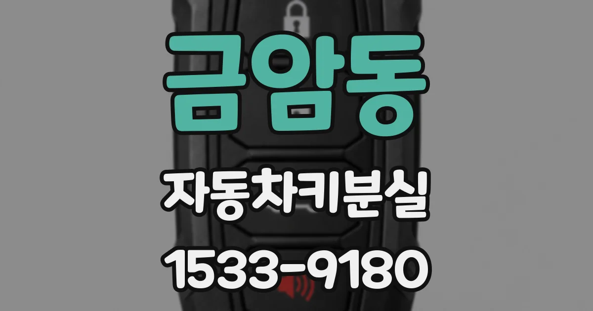 금암동 자동차키분실
