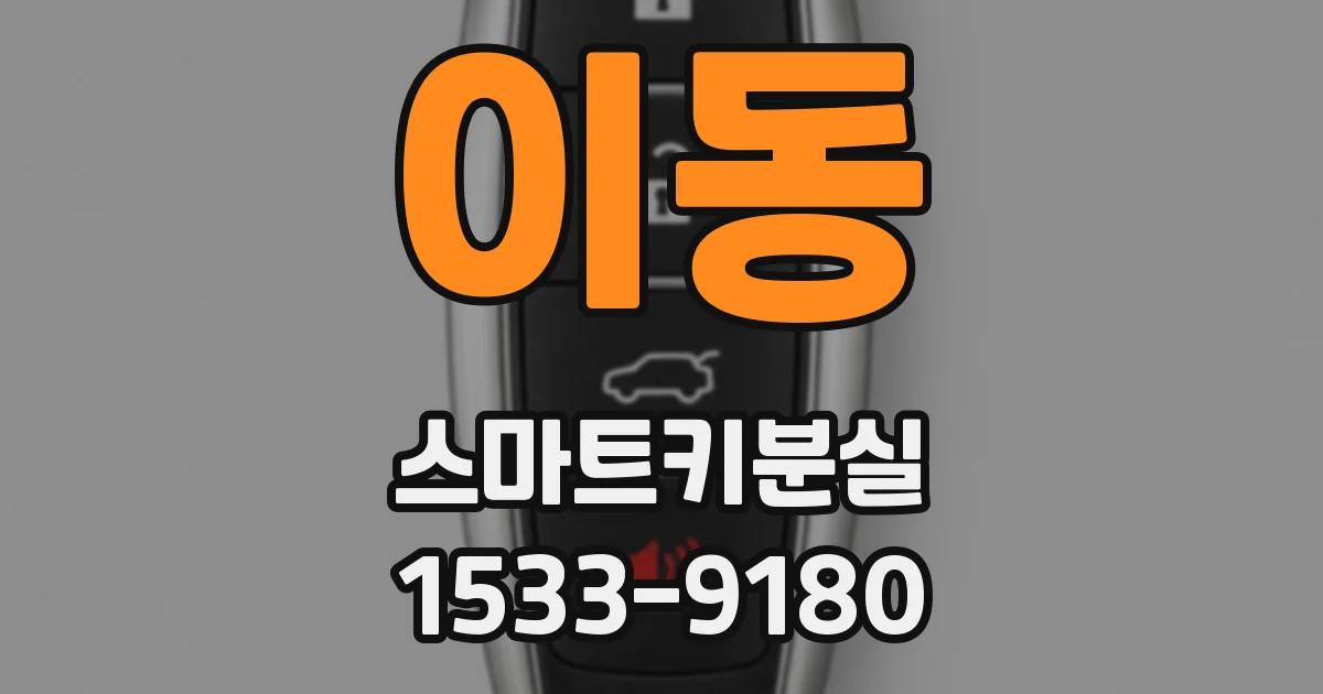 이동 스마트키분실