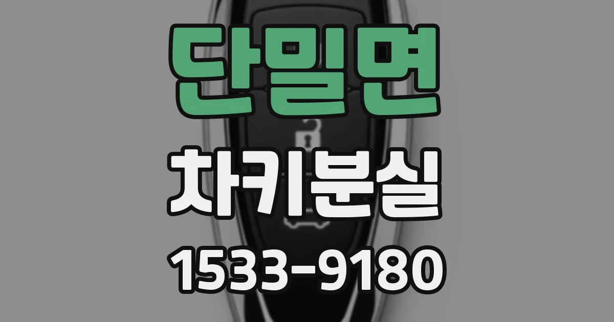 단밀면 차키분실
