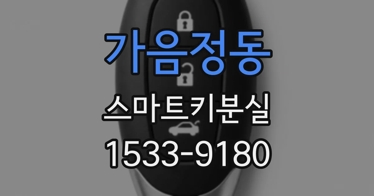 가음정동 스마트키분실