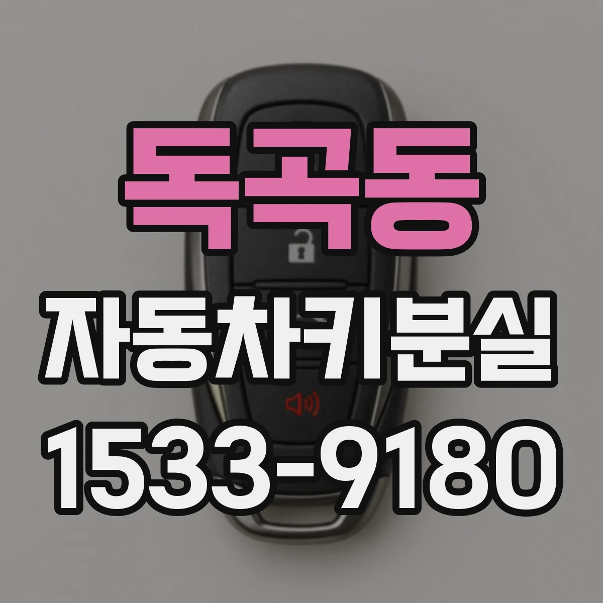 독곡동 자동차키분실