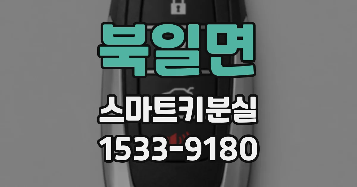 북일면 스마트키분실