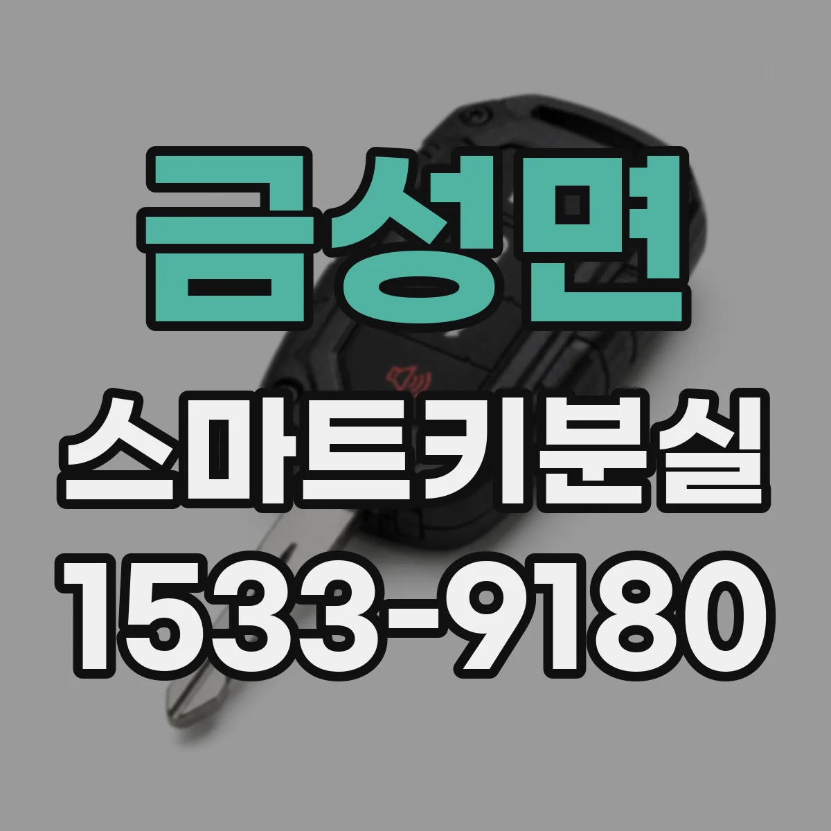 금성면 스마트키분실