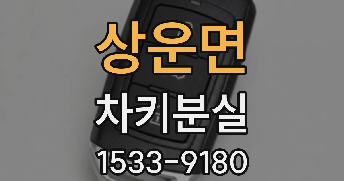 상운면 차키분실
