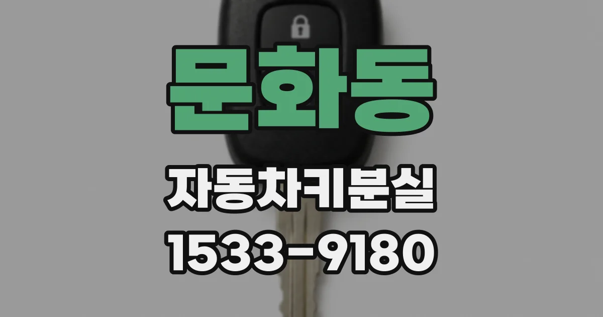 문화동 자동차키분실