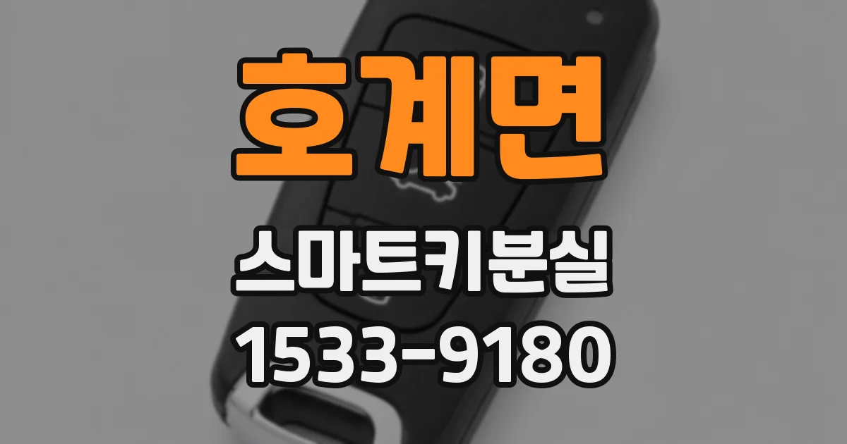 호계면 스마트키분실