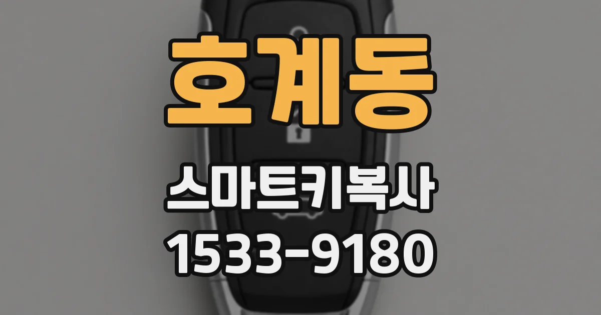호계동 스마트키복사