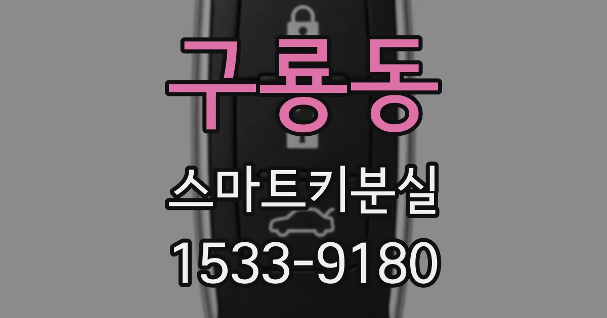 구룡동 스마트키분실