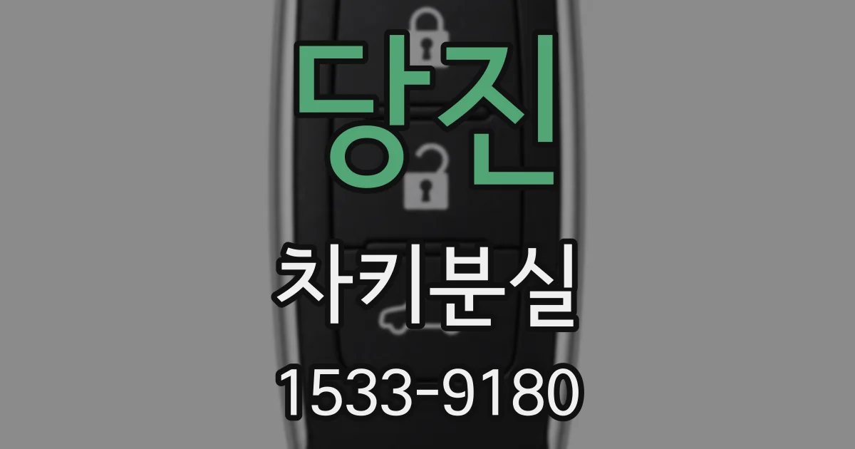 당진 차키분실