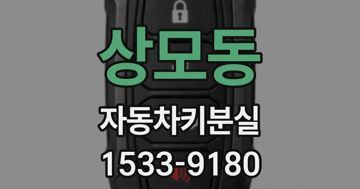 상모동 자동차키분실
