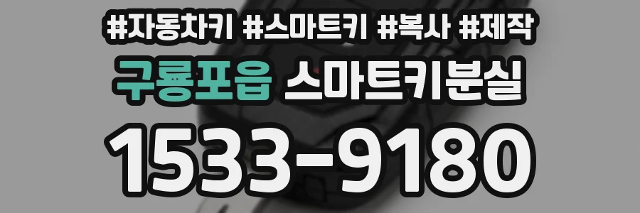 구룡포읍 스마트키분실