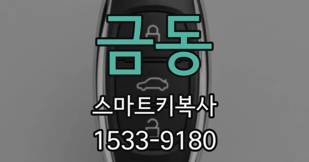 금동 스마트키복사