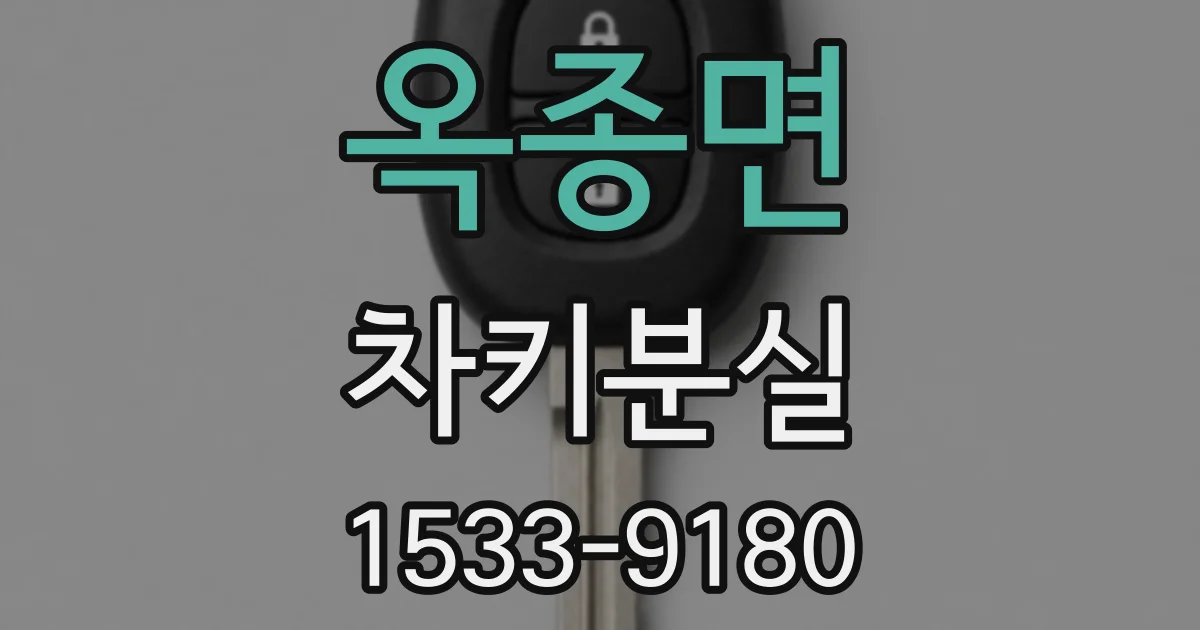 옥종면 차키분실