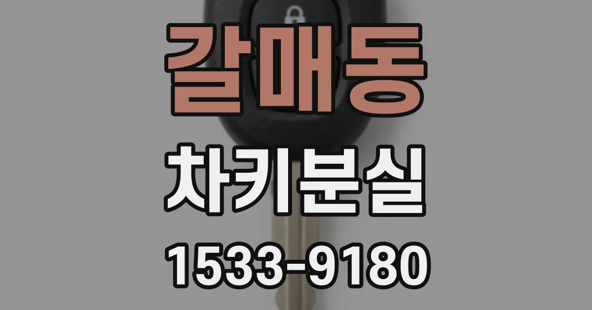 갈매동 차키분실