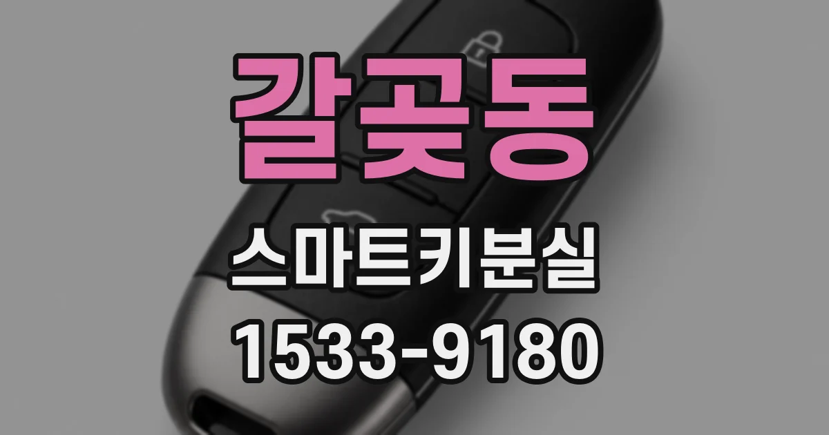 갈곶동 스마트키분실