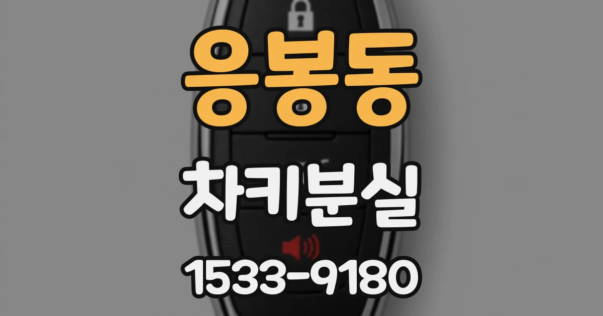 응봉동 차키분실