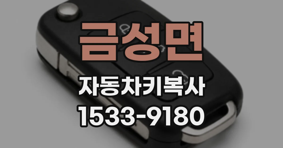 금성면 자동차키복사