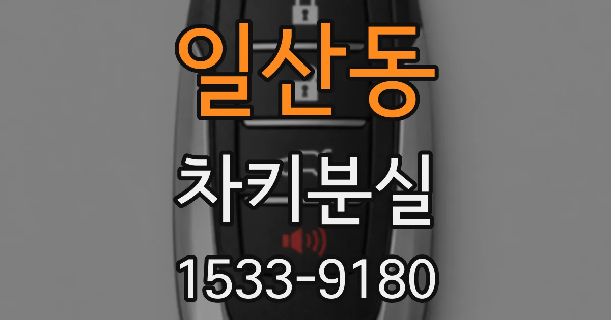 일산동 차키분실